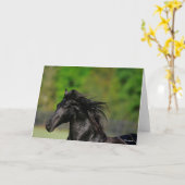 Black Friesian Horse Stallion Headshot Kaart (Gele Bloem)