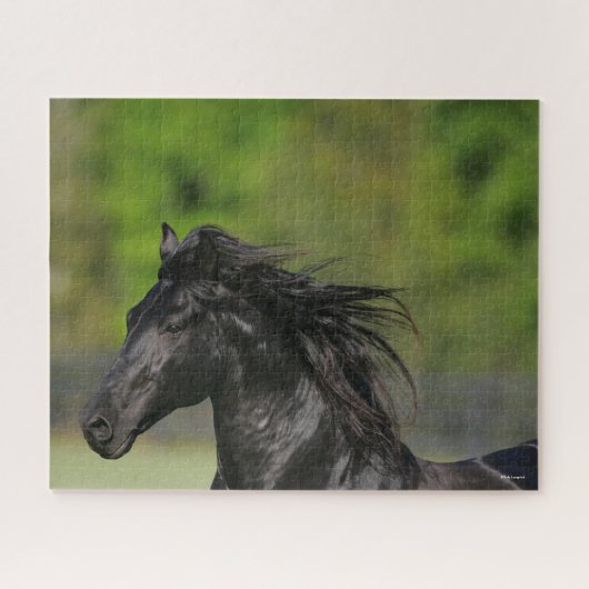 Black Friesian Horse Stallion Headshot Legpuzzel (Horizontaal)