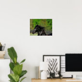 Black Friesian Horse Stallion Headshot Poster (Thuiskantoor)