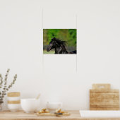 Black Friesian Horse Stallion Headshot Poster (Keuken)