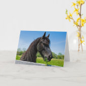 Black Friesian Paard Verjaardag Kaart (Gele Bloem)