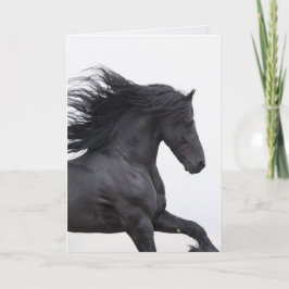 Black Friesian Runs Horse Wenskaart Kaart