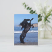 Black Friesian Stallion op strand Briefkaart (Staand voorkant)