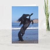 Black Friesian Stallion op strand Kaart (Voorkant)