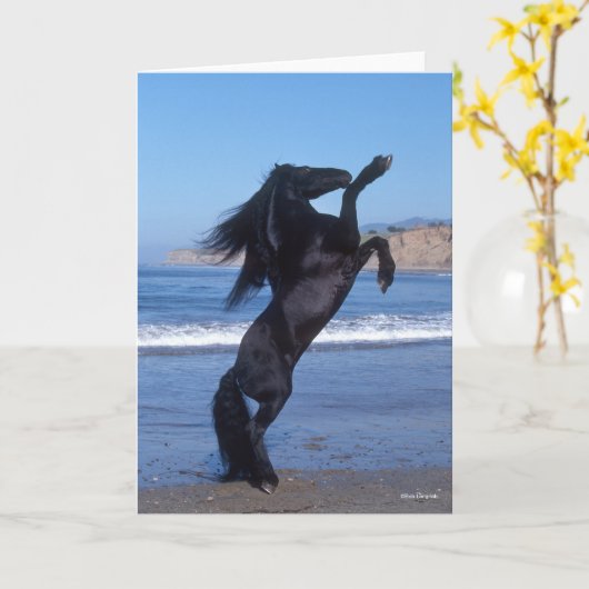 Black Friesian Stallion op strand Kaart (Gele Bloem)