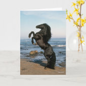 Black Friesian Stallion op strand Kaart (Gele Bloem)