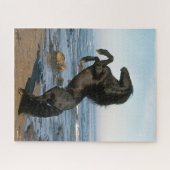 Black Friesian Stallion op strand Legpuzzel (Horizontaal)