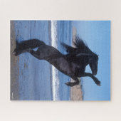 Black Friesian Stallion op strand Legpuzzel (Horizontaal)