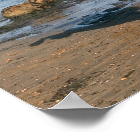 Black Friesian Stallion op strand Poster (Hoek)