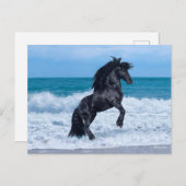 Black Friesian Stallion Rearing In the Sea Briefkaart (Voorkant / Achterkant)