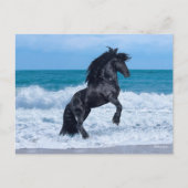 Black Friesian Stallion Rearing In the Sea Briefkaart (Voorkant)