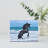 Black Friesian Stallion Rearing In the Sea Briefkaart (Staand voorkant)