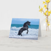 Black Friesian Stallion Rearing In the Sea Kaart (Gele Bloem)