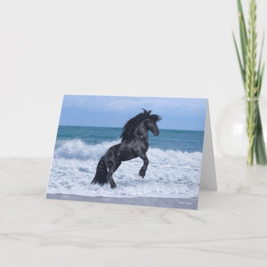 Black Friesian Stallion Rearing In the Sea Kaart (Voorkant)