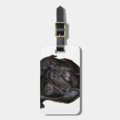 Black Funny Pug Bagagelabel (Voorkant verticaal)