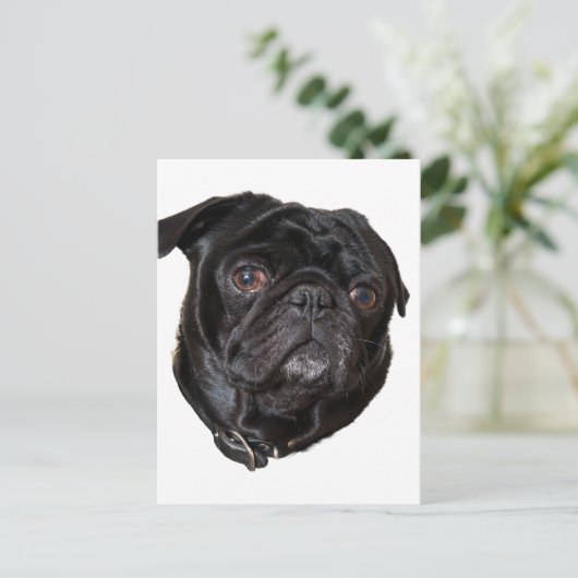 Black Funny Pug Briefkaart (Staand voorkant)