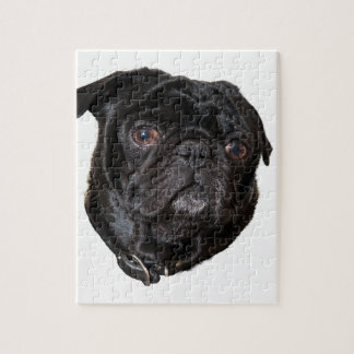 Black Funny Pug Legpuzzel