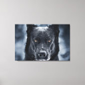 Black German Shepherd Canvas Afdruk (Voorkant)