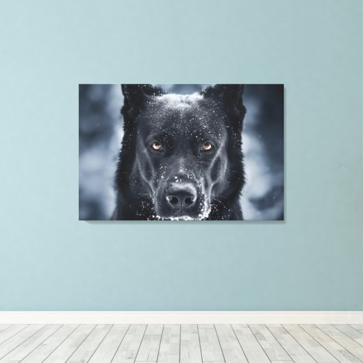 Black German Shepherd Canvas Afdruk (Insitu (Houten vloer))