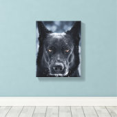 Black German Shepherd Canvas Afdruk (Insitu (Houten vloer))
