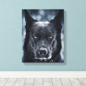 Black German Shepherd Canvas Afdruk (Insitu (Houten vloer))