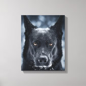 Black German Shepherd Canvas Afdruk (Voorkant)