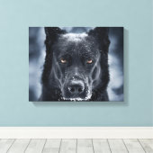 Black German Shepherd Canvas Afdruk (Insitu (Houten vloer))