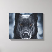 Black German Shepherd Canvas Afdruk (Voorkant)
