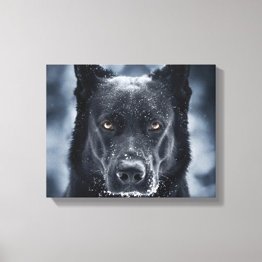 Black German Shepherd Canvas Afdruk (Voorkant)