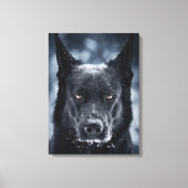 Black German Shepherd Canvas Afdruk (Voorkant)