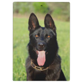 Black German Shepherd Dog - GSD Puppy Klembord (Achterkant)