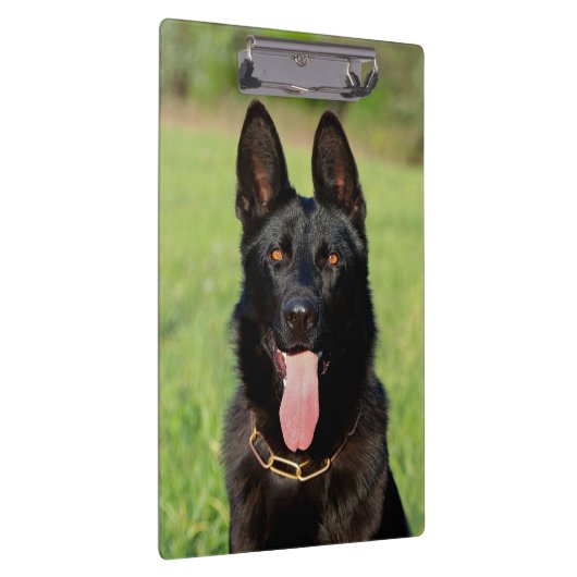 Black German Shepherd Dog - GSD Puppy Klembord (Rechts)