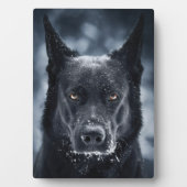 Black German Shepherd Fotoplaat (voorkant)