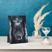 Black German Shepherd Fotoplaat (Zijkant)