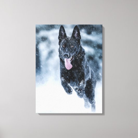 Black German Shepherd in snow Duvet Cover Canvas Afdruk (Voorkant)