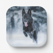 Black German Shepherd in snow Duvet Cover Papieren Bordje (Voorkant)
