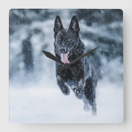 Black German Shepherd in snow Duvet Cover Vierkante Klok (Voorkant)