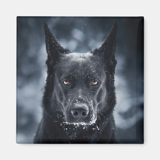 Black German Shepherd Magneet (Voorkant)