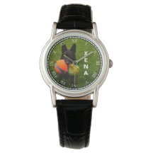 Black German Shepherd & Name Change for Your Pet