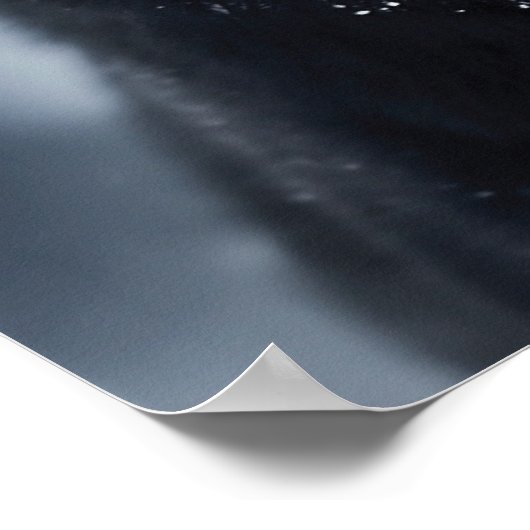 Black German Shepherd Poster (Hoek)