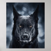 Black German Shepherd Poster (Voorkant)