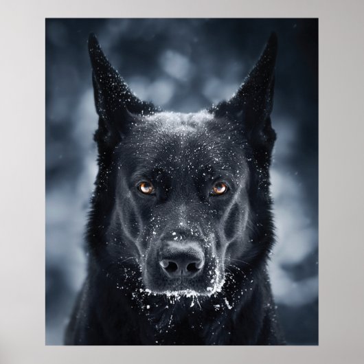Black German Shepherd Poster (Voorkant)