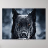 Black German Shepherd Poster (Voorkant)