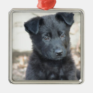 Black German Shepherd Puppy Metalen Ornament