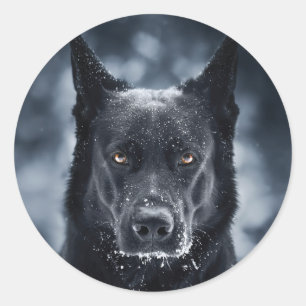 Black German Shepherd Ronde Sticker