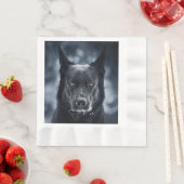 Black German Shepherd Servet (Insitu)