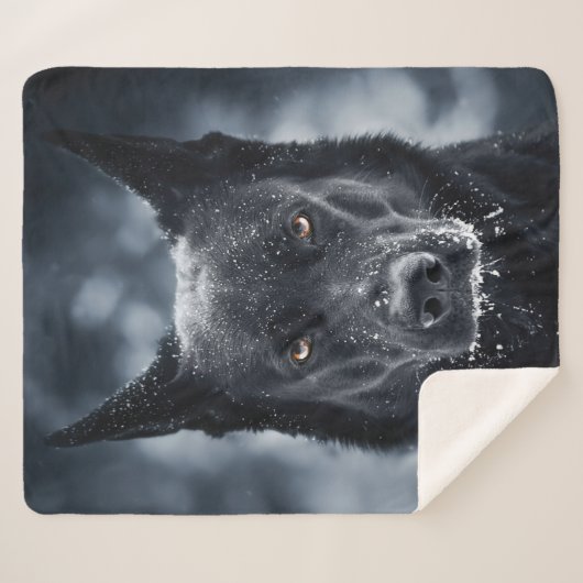 Black German Shepherd Sherpa Deken (Voorkant (horizontaal))