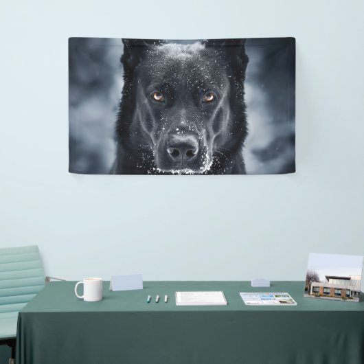 Black German Shepherd Spandoek (Beurs)