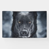 Black German Shepherd Spandoek (Horizontaal)