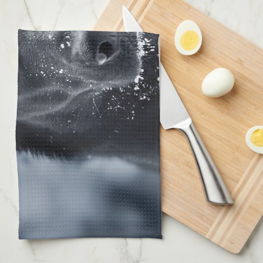 Black German Shepherd Theedoek (Quarter Fold)